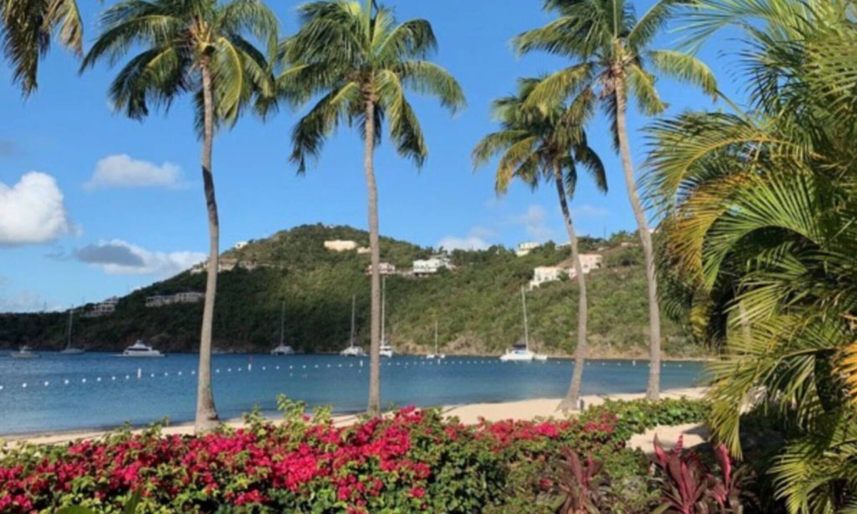 Estate Chocolate Hole and Great Cruz Bay Villa | 2BR 2BA Villa over looking the pool