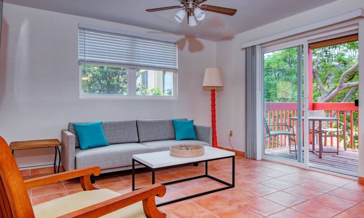 Contant Hill Apartment | A1 Sea Urchin