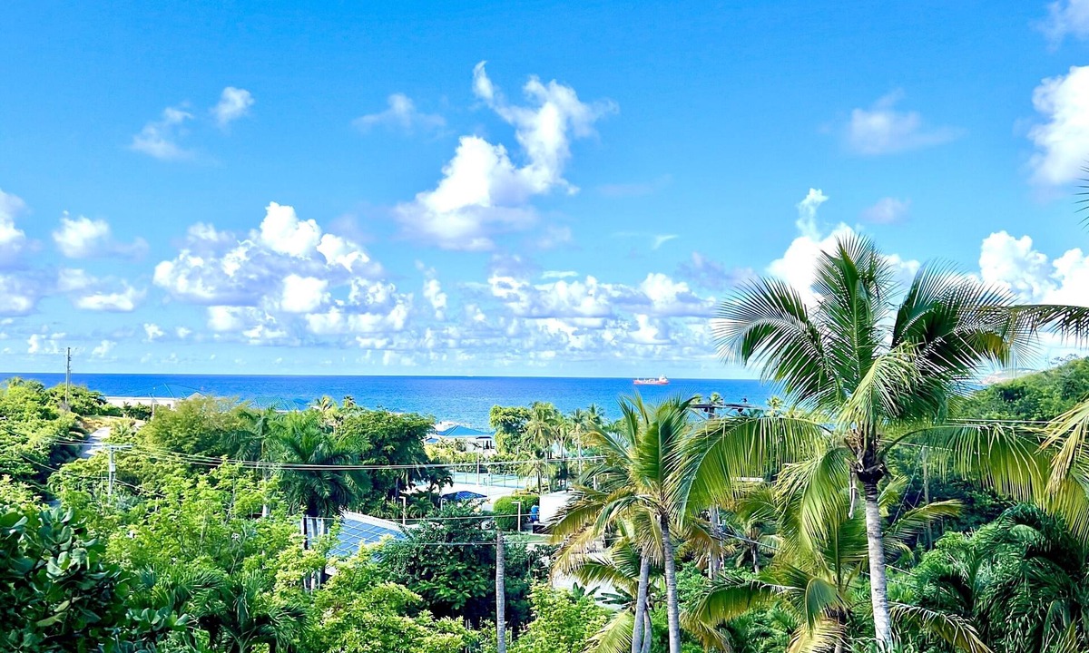 South Coast Apartment | Darling Palms Tree House: Beachside Studio Oasis