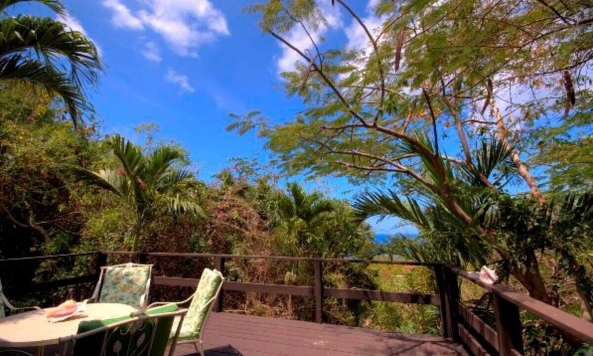 Cane Bay Villa | Northside EcoVilla near sea - Leah's Leap