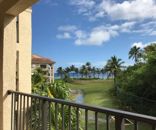 La Grande Princesse Apartment | Pelican Cove Condo