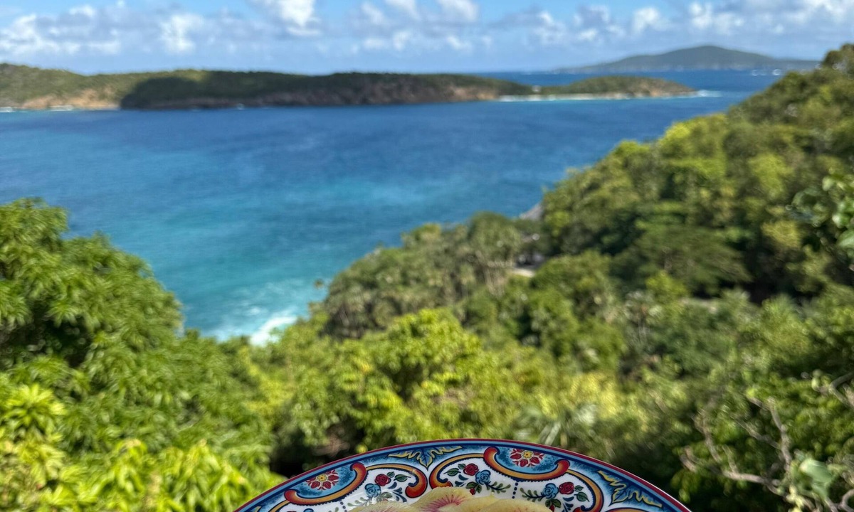 Estate Caret Bay Cottage | Secluded Ocean View Love Suite