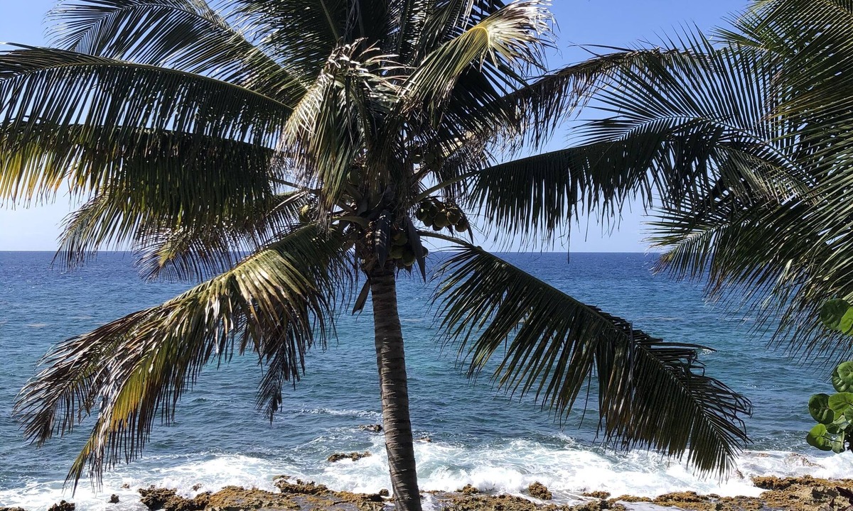 Cane Bay Cottage | St.Croix, USVI- Cane Bay Beach -direct waterfront Cottage!