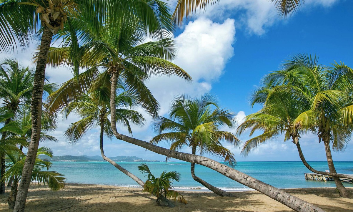 Estate Shoys Hotel | The Buccaneer Beach & Golf Resort