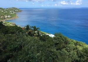 Paradise Palms 1-Bedroom Condo w/ Pool & Panoramic Ocean Views