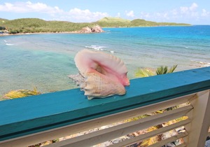 Remodeled Oceanfront 2BR/BA Condo at Bolongo Bay