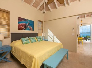 Allamanda At Seagrape Vista St John | Estate Enighed