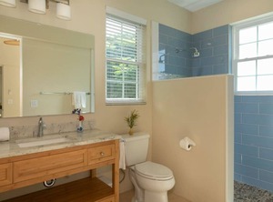 Allamanda At Seagrape Vista St John | Estate Enighed