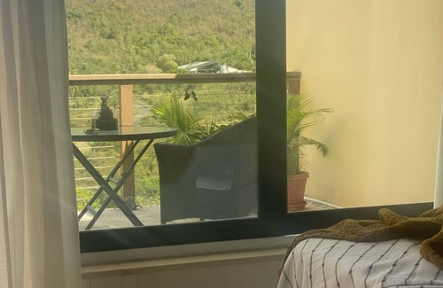 Rosendal Condo | A Sweet Ginger Retreat, near Magens Bay St. Thomas