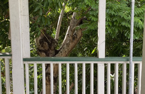 Estate East Street Apartment | Close to Everything in the heart of Christiansted!