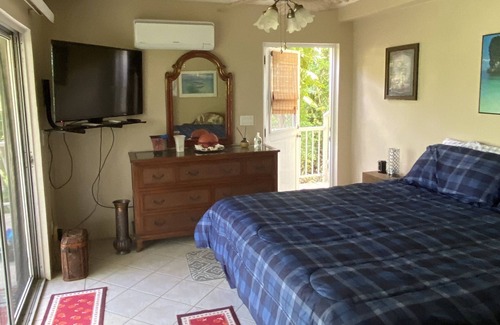 Estate Molendal and Little Reef Bay Apartment | private room , deck , pool , full outdoor kitchen , owner lives on property