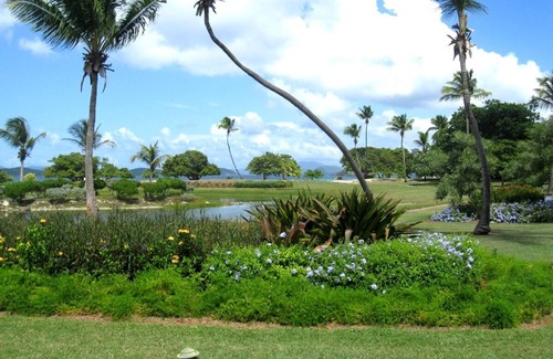 Red Hook Condo | Stunning location on beautiful Sapphire Beach