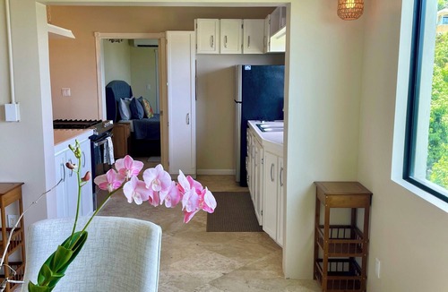 Estate Enighed Apartment | 2-bedroom-ocean & St Croix views-5 minutes to Cruz Bay