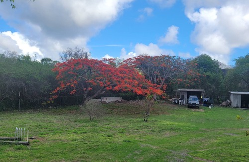Estate Montpellier East House | A&S Tropical Cottage on 1 1/2 acres of paradisenClothing Optional