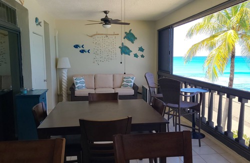 Estate Two Brothers Condo | Beachfront Condo-faces west with amazing sunsets and snorkeling.