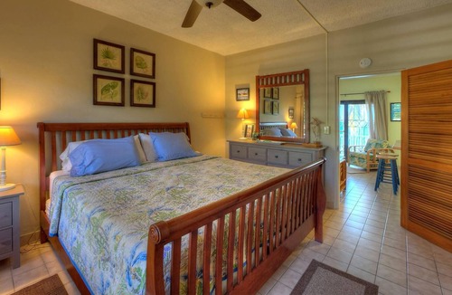 Frederiksted Condo | Beachfront Pink Condo #8