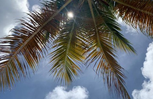Frederiksted Southeast Apartment | Caribbean Gem ocean block in the center of town