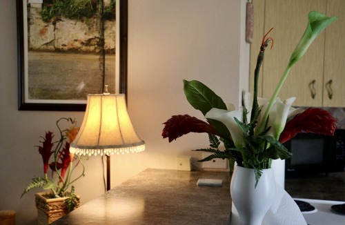 Estate Ruby Condo | Central Condo Oasis w/pool, walk to bus + shops