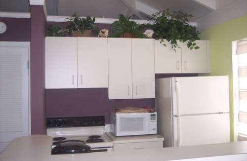 Chenay Bay Apartment | Charming 1-bedroom apartment in awesome East End with AC, WiFi