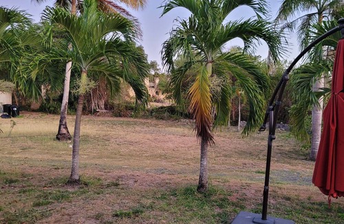 Estate Montpellier East House | Clothing-Optional Island Oasis: Cottage & Pool