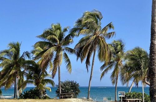 Estate Teague Bay Condo | Cozy condo w/ocean views & next to restaurants!