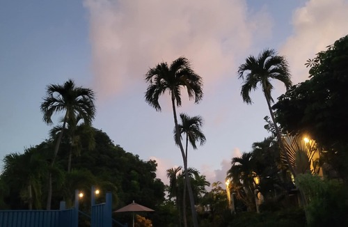 Orange Grove Condo | Enjoy the Caribbean life!