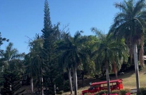 Altona Apartment | Enjoyable 2-bedroom apartment with AC in Plantation Manner, Saint Thomas