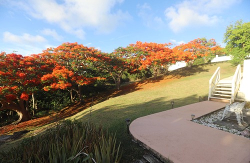 Estate Frenchman Bay Apartment | Flamboyant Oasis