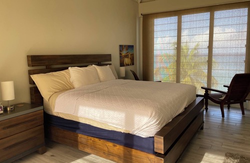 Frederiksted Condo | Green Flash