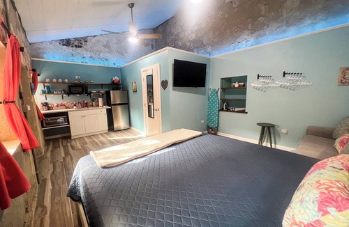 Frederiksted Southeast Hotel | Ground floor unit With local artist mural on exterior!
