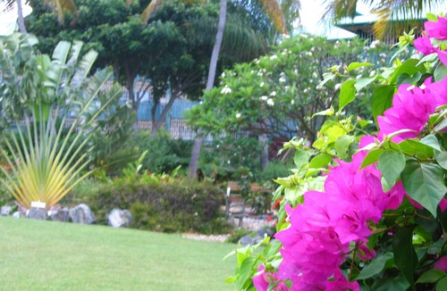 Estate Golden Rock Condo | It's A Breeze To Enjoy Our Oceanview Condo, Just Flip Flop Inn.