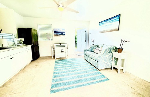 Estate La Grange Villa | LILLA VILLA 3-bedroom with Sparkling Pool in delightful Frederiksted with AC