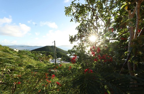 Red Hook Apartment | Lion's Gate Getaway- Lush Setting. Check for seasonal discounts