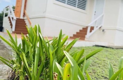Estate Mount Pleasant West House | My Home - A Vacation In Paradise