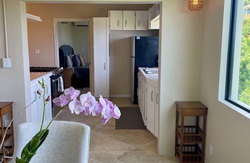 Estate Enighed Apartment | Ocean view 2 bedroom minutes to Cruz Bay