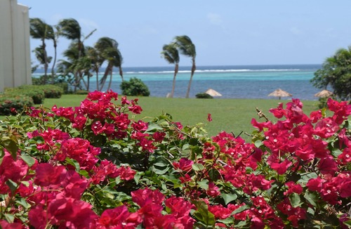 Estate Golden Rock Condo | On Beautiful Sugar Beach: Beachfront Condo in Club St Croix Complex