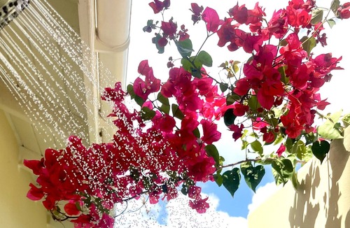 Maho Bay Quarter Villa | Paradise on the Rocks Villa - 7min to Maho Bay Beach