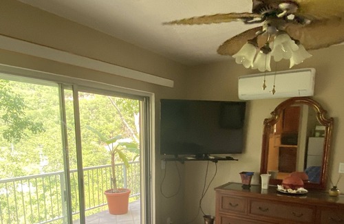 Estate Molendal and Little Reef Bay Apartment | private room , deck , pool , full outdoor kitchen , owner lives on property