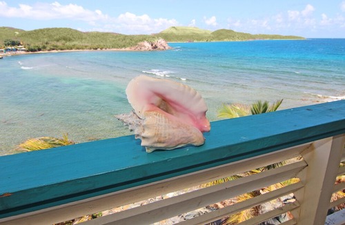 Bolongo Bay Apartment | Remodeled Oceanfront 2BR/BA Condo at Bolongo Bay