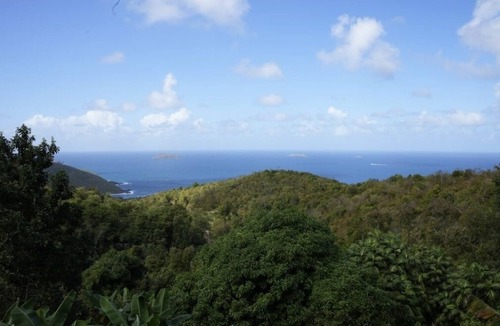 Estate Bordeaux House | Scenic View: A Tropical Experience