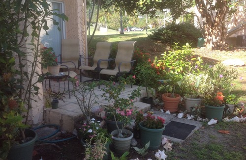 Estate Salt River Condo | SEASIDE CONDO AT LOVELY, SERENE, UNCROWDED GENTLE WINDS - IDYLLIC GETAWAY