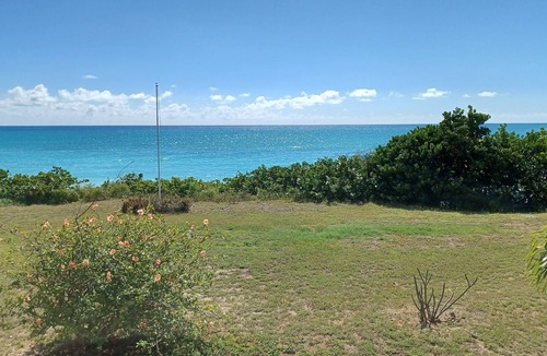 Estate Enfield Green House | Serene Beach Paradise House