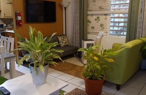 Estate Little Princess South House | Smith House & Tropical Garden-Integrating Nature For Relaxation
