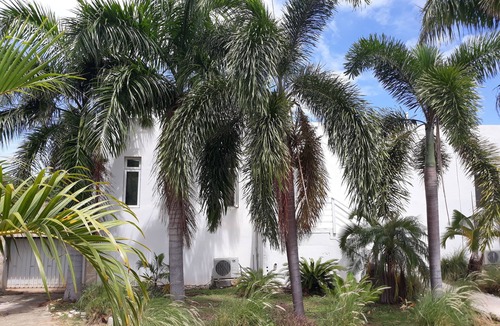Christiansted Villa | Spectacular Solitude bay beachfront villa