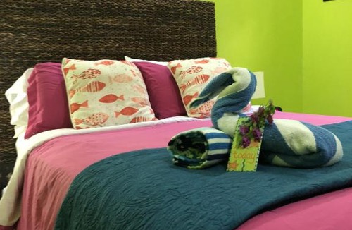 Estate Contant Hotel | St John Inn