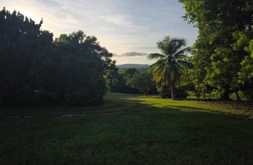 Estate Work and Rest Other | Starlit Jasmine