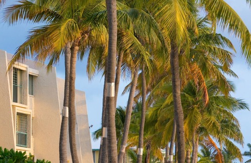 Estate Golden Rock Condo | Stunningly Beautiful - Theatre at Sugar Beach 2 (08)