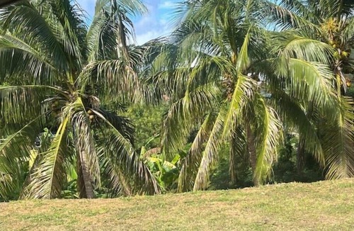 Christiansted House | SUNNY, Mid island gem, 5 mins from the beach