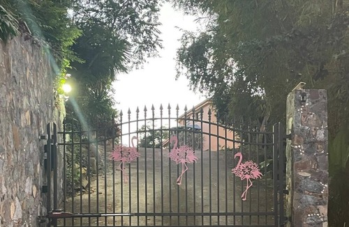 Estate Glucksberg and Grunwald House | The Yellow Flamingo at Flamingo Gardens