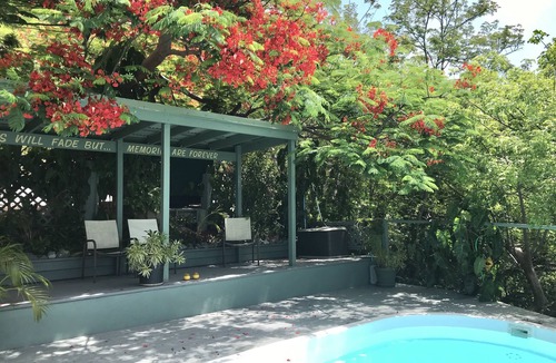Red Hook House | TreeTops! RedHook! Great Location, View, Pool! Perfect for 2-4 persons!